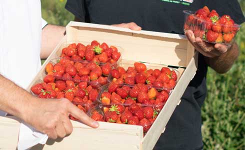 Local producers