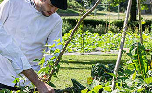 Production aux Sorbiers